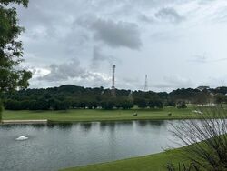 Cove Drive (D4), Condominium #482296071